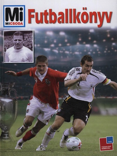 Christoph Bausenwein: Futballkönyv (Mi Micsoda) antikvár