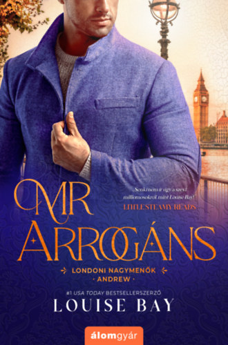 Louise Bay: Mr. Arrogáns antikvár