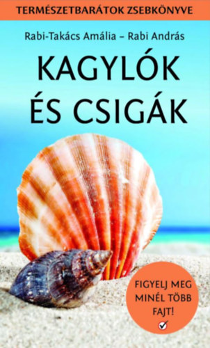 Rabi-Takács Amália, Rabi András: Kagylók és csigák könyv