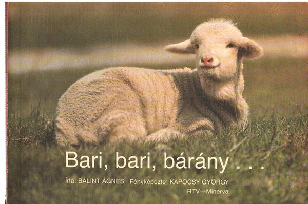Bálint Ágnes: Bari, bari, bárány... antikvár
