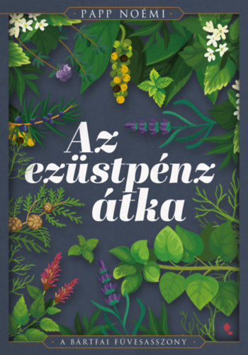Papp Noémi: Az ezüstpénz átka e-Könyv