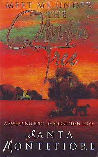 Santa Montefiore: Meet Me Under The Ombu Tree antikvár