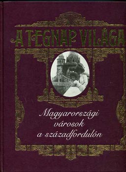 Jalsovszky Katalin - Tomsics Emőke: A tegnap világa - Magyarországi városok a századfordulón írásban és képben antikvár