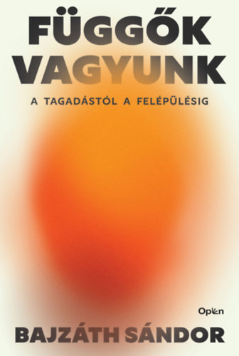 Bajzáth Sándor: Függők vagyunk könyv