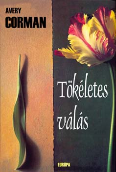 Avery Corman: Tökéletes válás antikvár