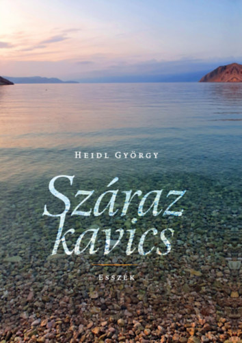 Heidl György: Száraz kavics antikvár