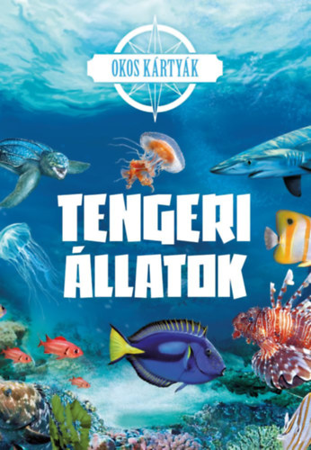 Okos kártyák - Tengeri állatok akciós termékkép 1