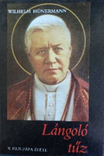 Wilhelm Hünermann: Lángoló tűz antikvár
