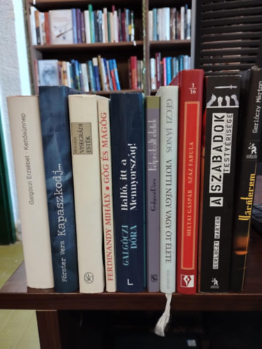 Galgóczi Erzsébet, Förster Vera, Féja Géza, Ferdinandy Mihály, Galgóczi Dóra, Heltai Gáspár, Gerlóczy Márton, Géczi János: Magyar irodalom 10 db KÖNYVMENTŐ AJÁNLAT: Kettős ünnep,  Kapaszkodj..., Visegrádi esték, Góg és Magóg, Halló, itt a Mennyország!, Felpróbált életek , Száz fabula, A Szabadok Testvérisége, Váróterem, Viotti négy vagy öt élete antikvár