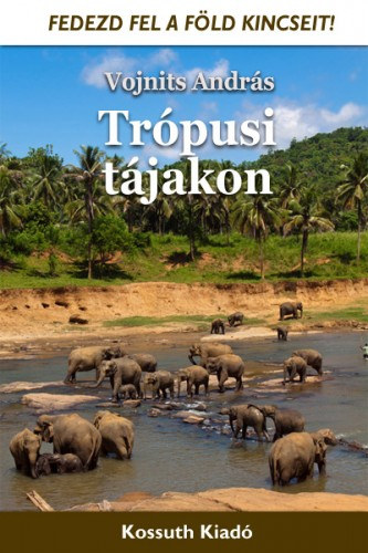 Trópusi tájakon akciós termékkép 1