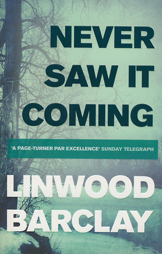 Linwood Barclay: Never Saw It Coming idegen