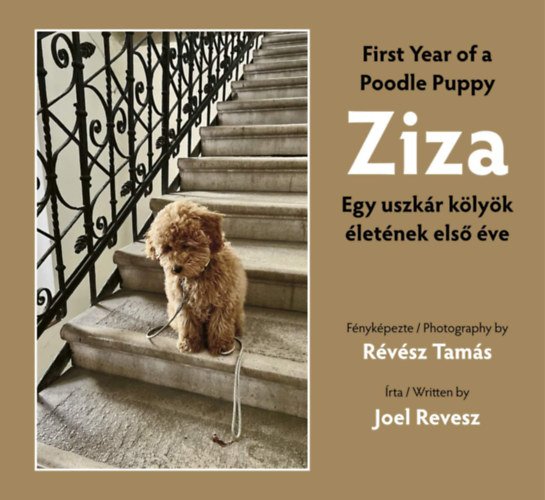Joel Revesz, Révész Tamás: Ziza - Egy uszkár kölyök életének első éve könyv