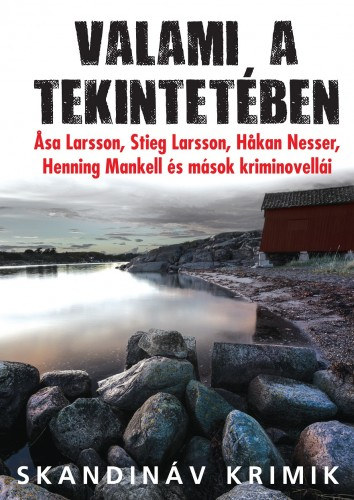 Valami a tekintetében - Svéd kriminovellák akciós termékkép 1