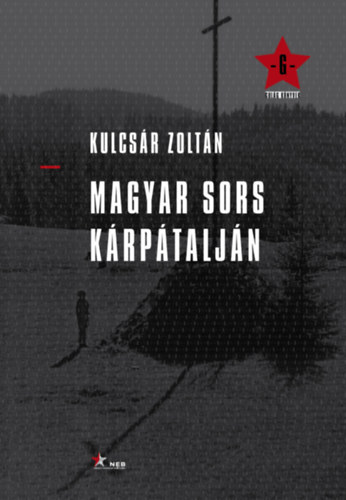 Kulcsár Zoltán: Magyar sors Kárpátalján antikvár