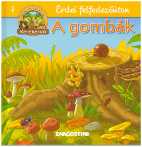 Feryal Kanbay - Stephan Gürtler: Erdei felfedezőúton 7.- A gombák (Kerekerdő) antikvár