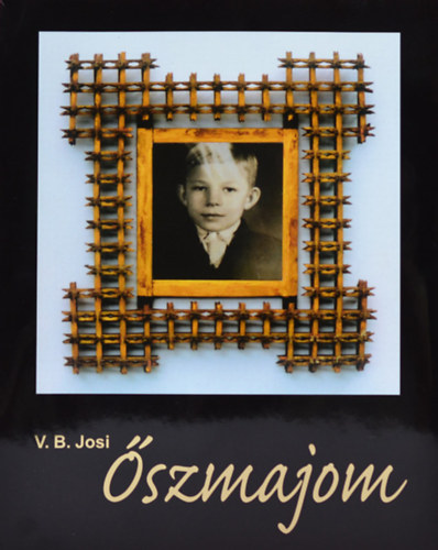 V. B. Josi: Őszmajom antikvár