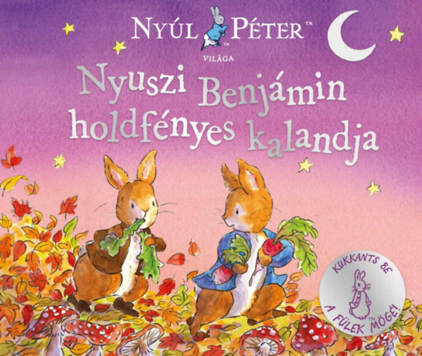 Nyúl Péter világa - Nyuszi Benjámin holdfényes kalandja könyv