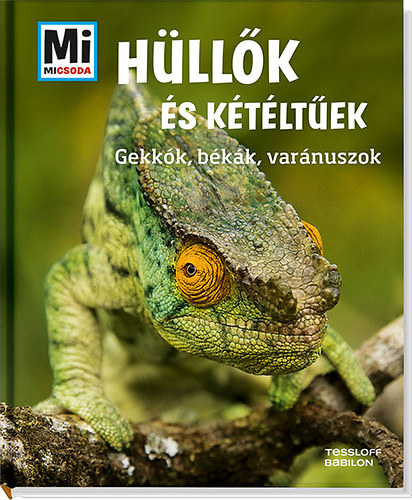 Alexandra Rigos: Hüllők és kétéltűek - Mi Micsoda könyv