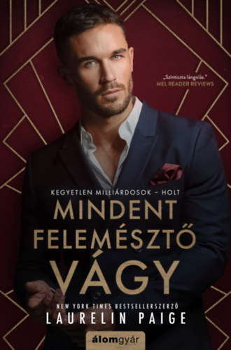 Laurelin Paige: Mindent felemésztő vágy könyv
