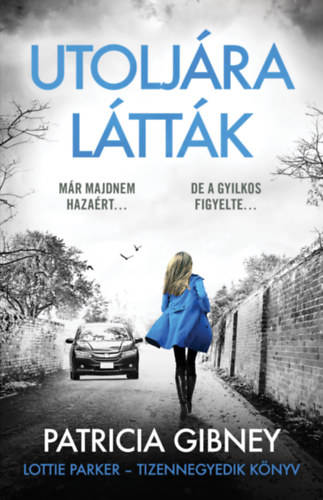 Patricia Gibney: Utoljára látták - Lottie Parker 14. e-Könyv