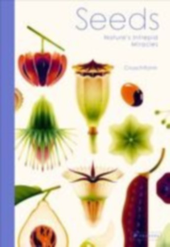 Cruschiform: Seeds idegen
