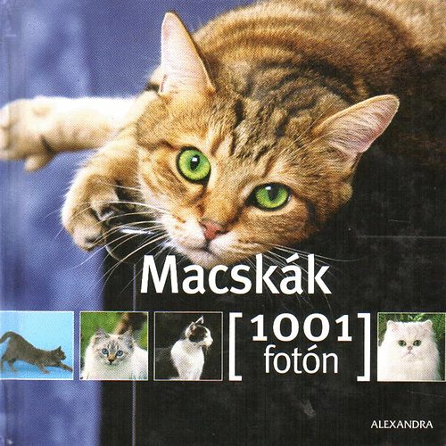 Yann Susic: Macskák- 1001 fotón antikvár