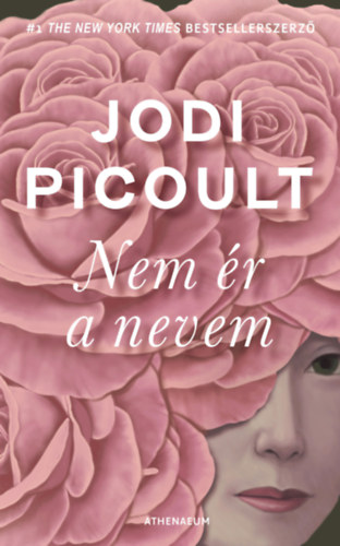Jodi Picoult: Nem ér a nevem e-Könyv