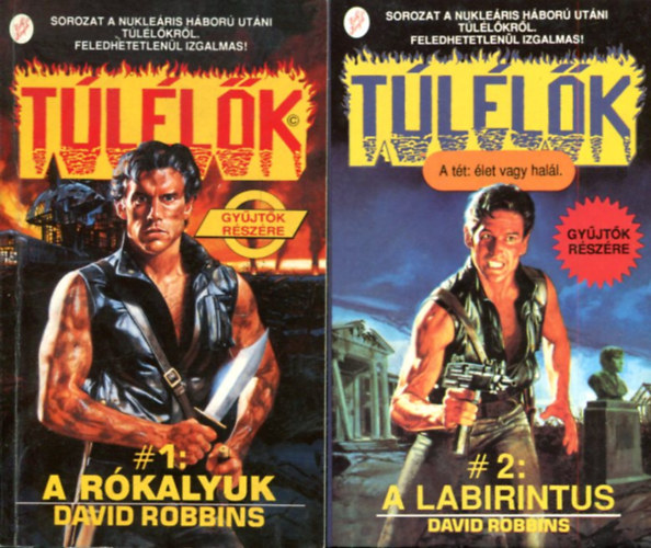 David Robbins: Túlélők 1-2 : A labirintus - A rókalyuk antikvár