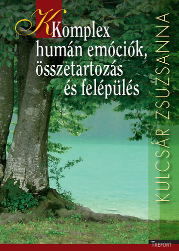 Kulcsár Zsuzsanna: Komplex humán emóciók, összetartozás és felépülés antikvár
