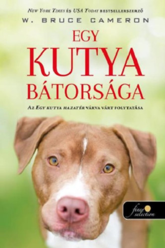 Egy kutya bátorsága akciós termékkép 1