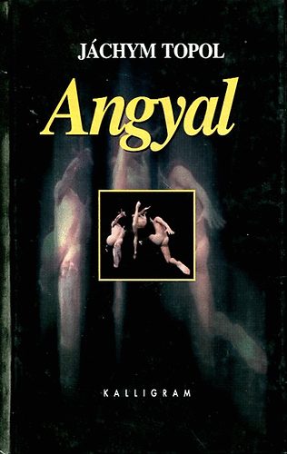 Jáchym Topol: Angyal antikvár