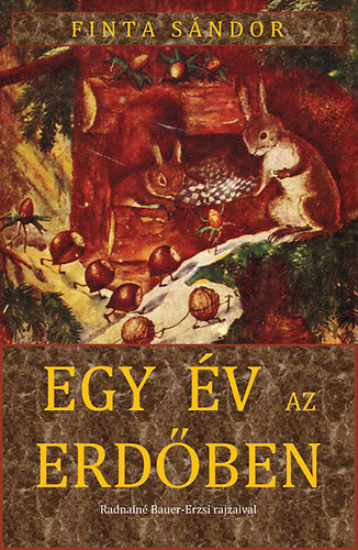 Egy év az erdőben akciós termékkép 1