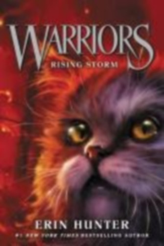 Hunter, Erin: Warriors 04. Rising Storm idegen