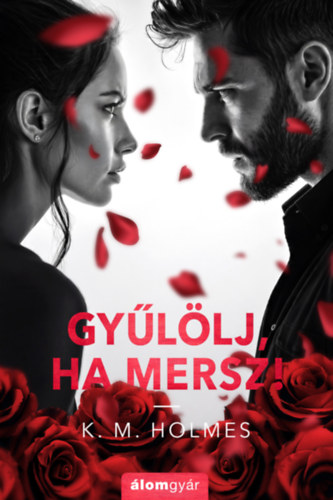 Holmes K. M.: Gyűlölj, ha mersz! könyv