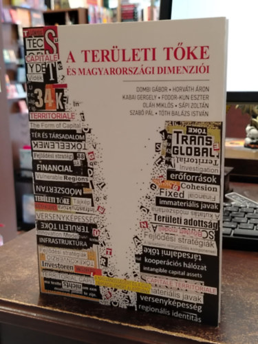 A területi tőke és magyarországi dimenziói antikvár