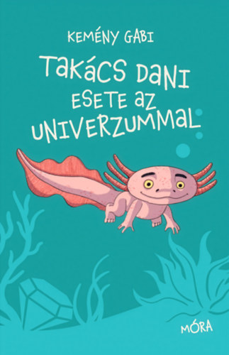 Kemény Gabi: Takács Dani esete az univerzummal könyv