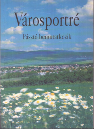 Városportré - Pásztó bemutatkozik antikvár