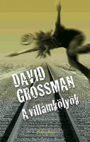 David Grossman: A villámkölyök könyv