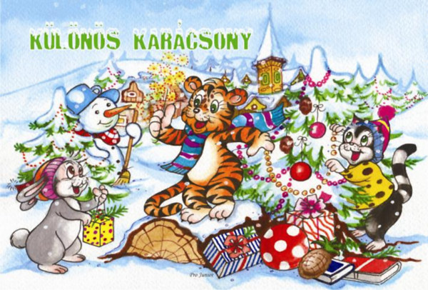 Tóth Anna: Különös karácsony könyv