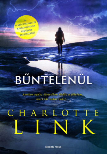 Charlotte Link: Bűntelenül antikvár