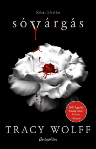 Tracy Wolff: Sóvárgás antikvár