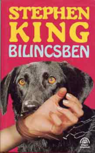 Stephen King: Bilincsben antikvár