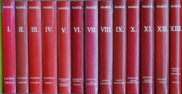 Kőszeghy Péter (föszerk.): Magyar művelődéstörténeti lexikon I-XIII. (MAMŰL) könyv