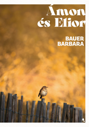 Bauer Barbara: Ámon és Elior e-Könyv