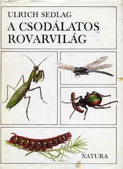 Ulrich Sedlag: A csodálatos rovarvilág antikvár