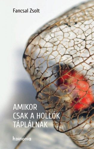 Fancsal Zsolt: Amikor csak a hollók táplálnak e-Könyv