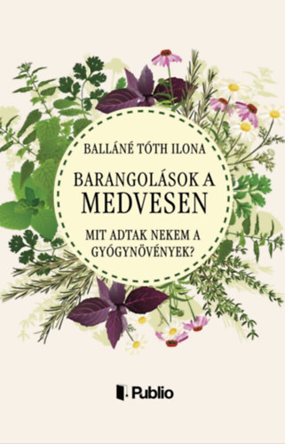 Balláné Tóth Ilona: Barangolások a Medvesen e-Könyv