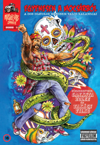 Mester Csaba, Tóth-Laboncz Attila, Zana Zoltán, Takács-koltay Vilmos: Egyenesen a mocsárból könyv