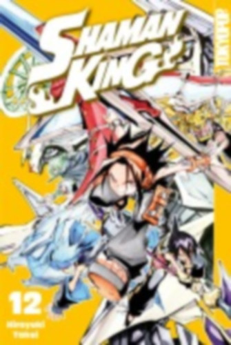 Takei, Hiroyuki: Shaman King 12 idegen