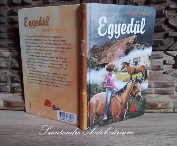 Angela Dorsey: Egyedül (Abandoned) - Pony Club sorozat; Jennifer Bell illusztrációival; Saját képpel! antikvár